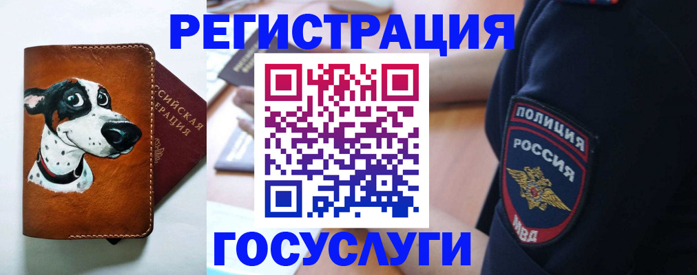 временная регистрация в квартире в Асино